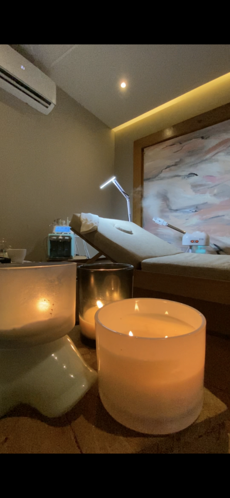 20985 the wellness society spa 473x1024