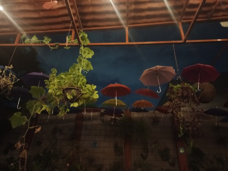 21050 temazcal spa atle xochitl 768x576