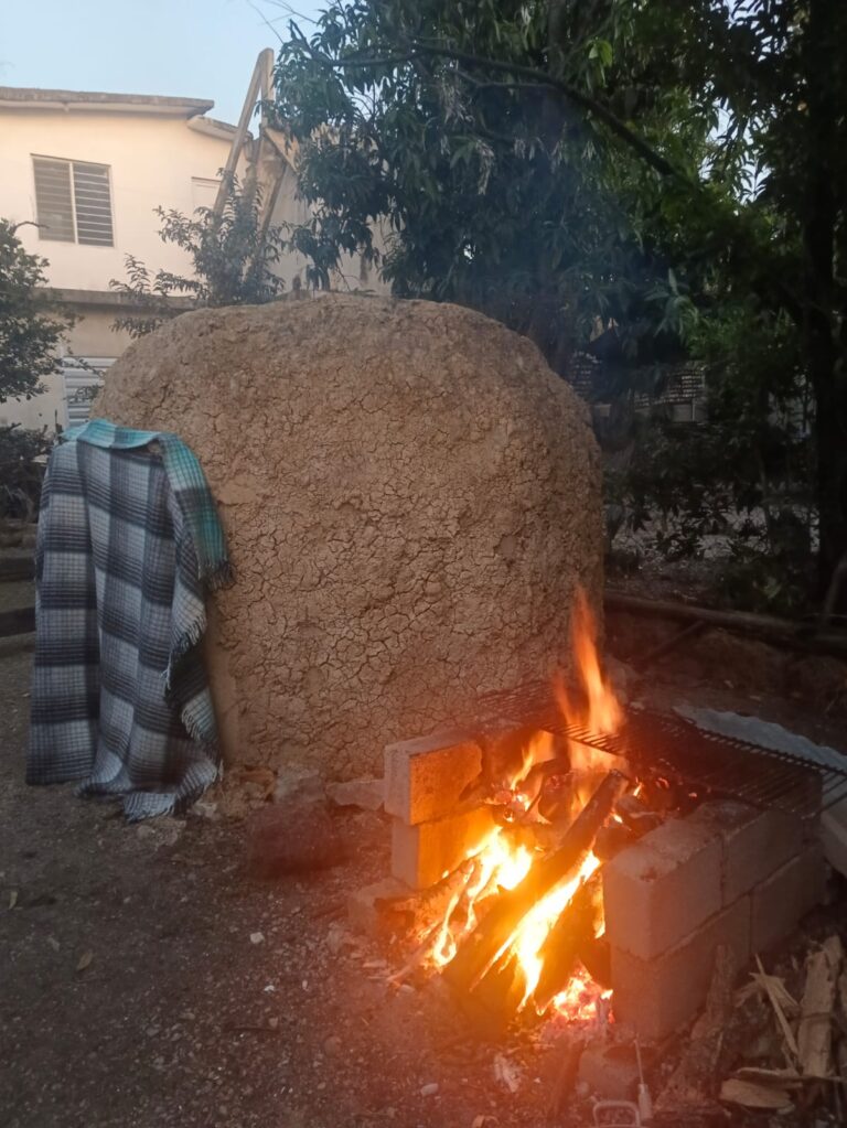 21201 temazcal del valle 768x1023