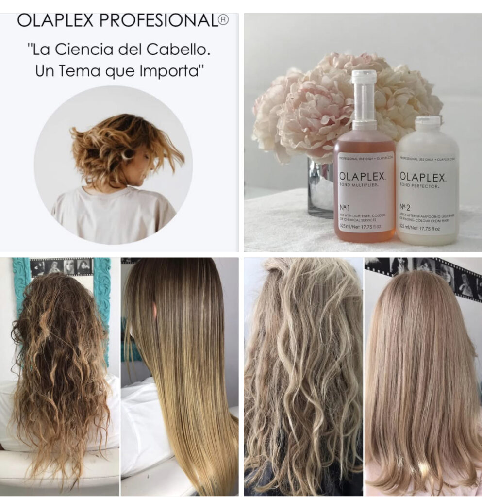 21346 elite beauty zone by marissa rivera 993x1024