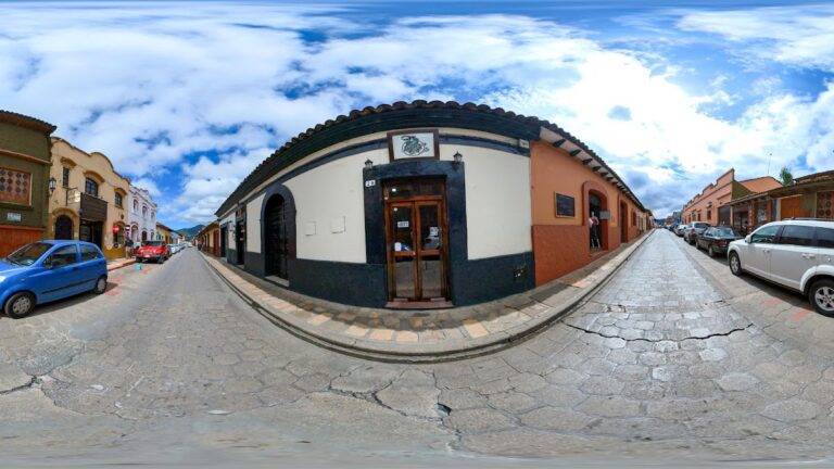 21687 barberia del gato 768x432