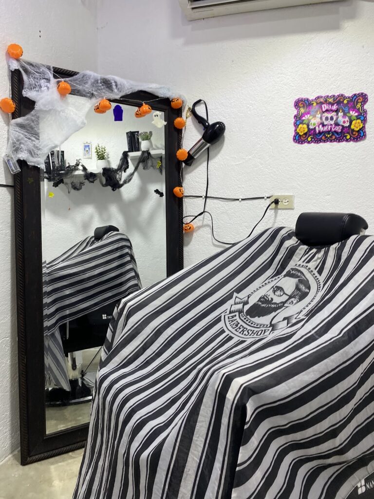 21992 project barber 768x1024