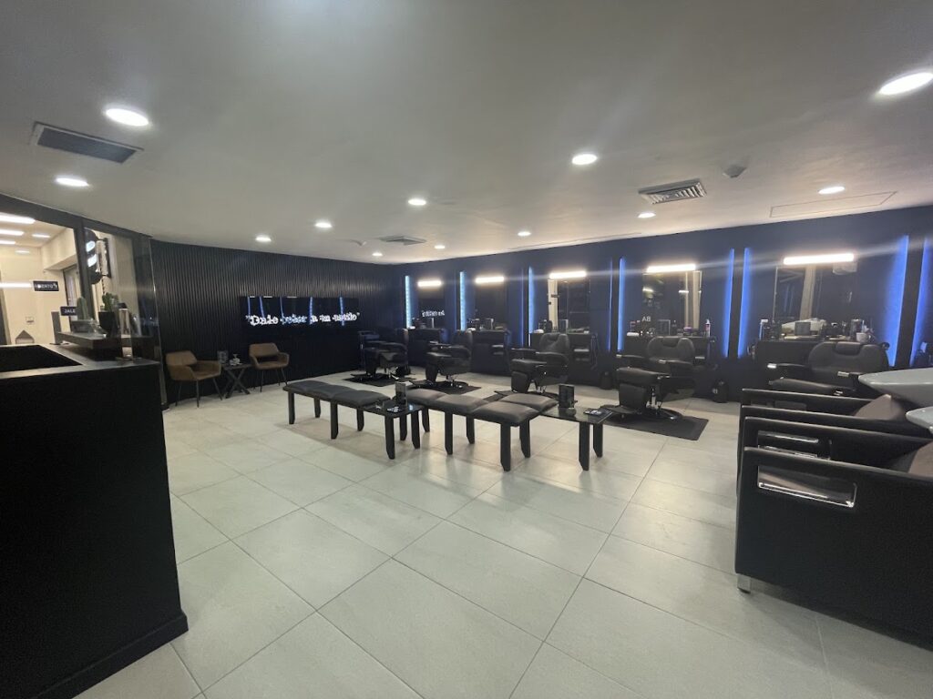 21999 barber blue suc. hidalgo 1024x768