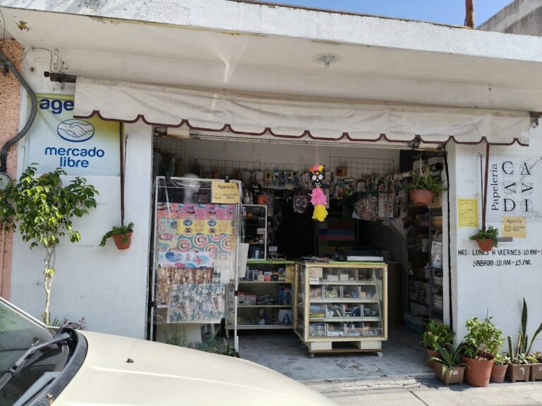 22176 papeleria y agencia mercado libre cavadi 768x576
