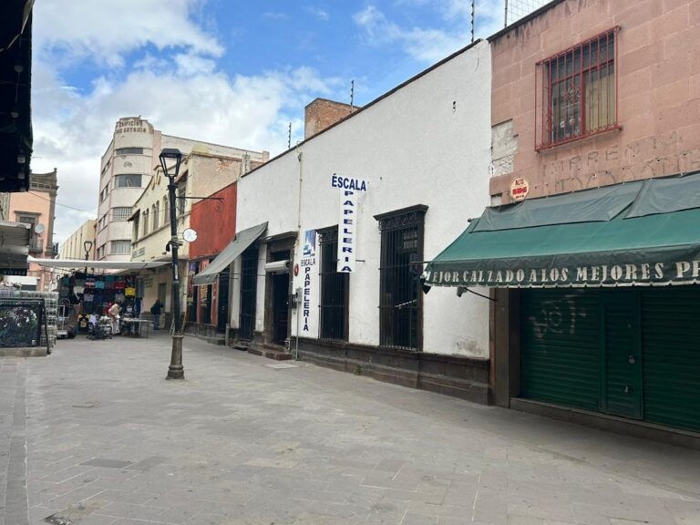 22342 papeleria escala 768x576