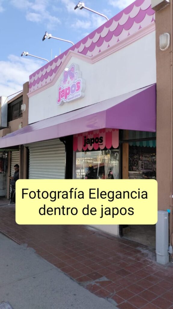 22504 fotografia elegancia 575x1024