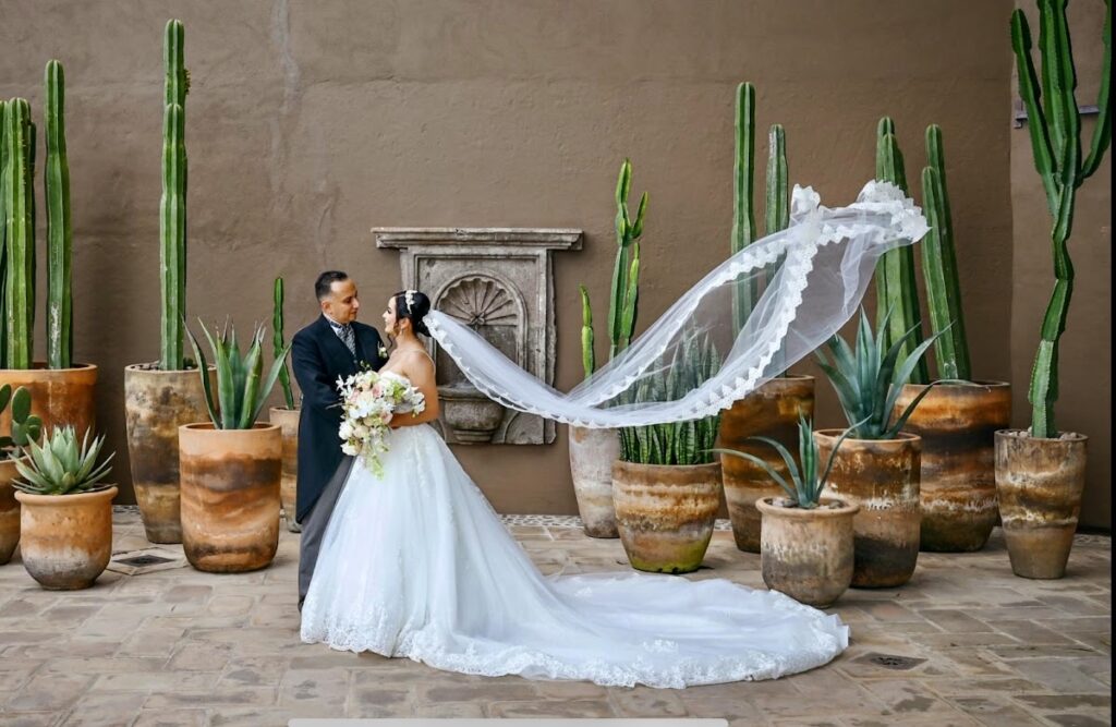 22634 vive la foto 1024x667