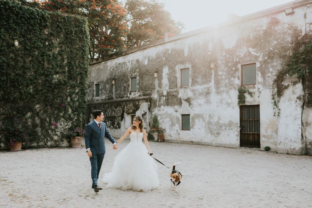 22645 escena films 8211 fotografia y video cuernavaca 1024x683