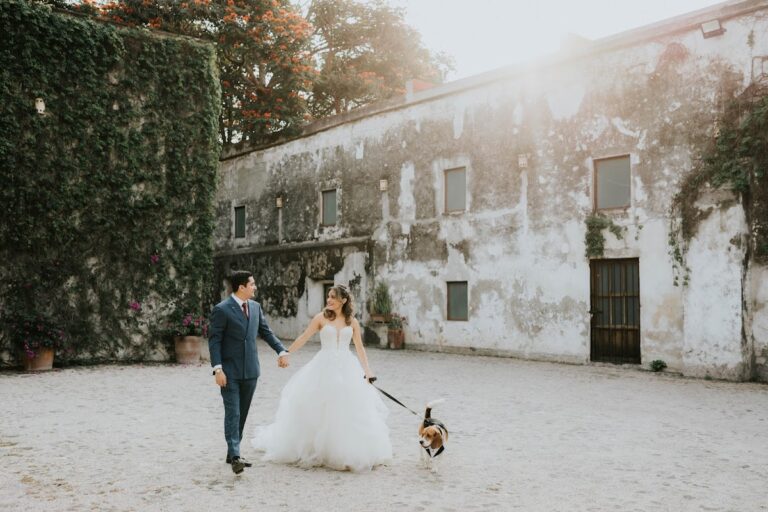 22645 escena films 8211 fotografia y video cuernavaca 768x512