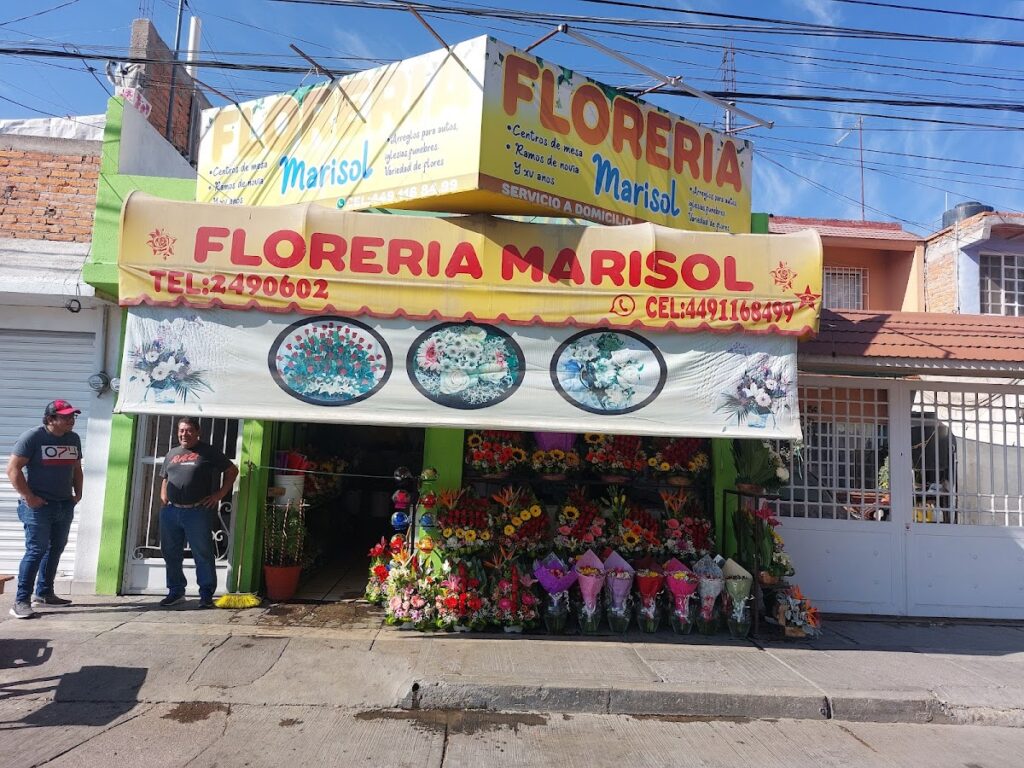 23240 floreria marisol 1024x768