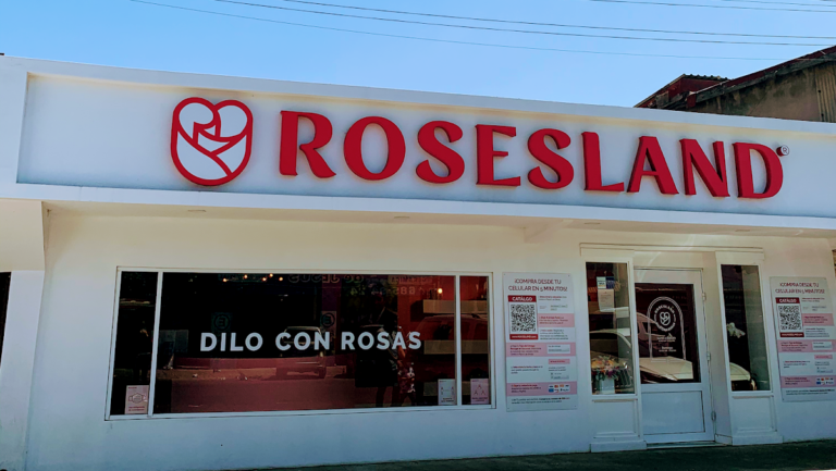 23262 floreria tijuana rosesland zona centro 768x433