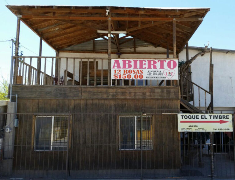 23310 floreria lis 768x590