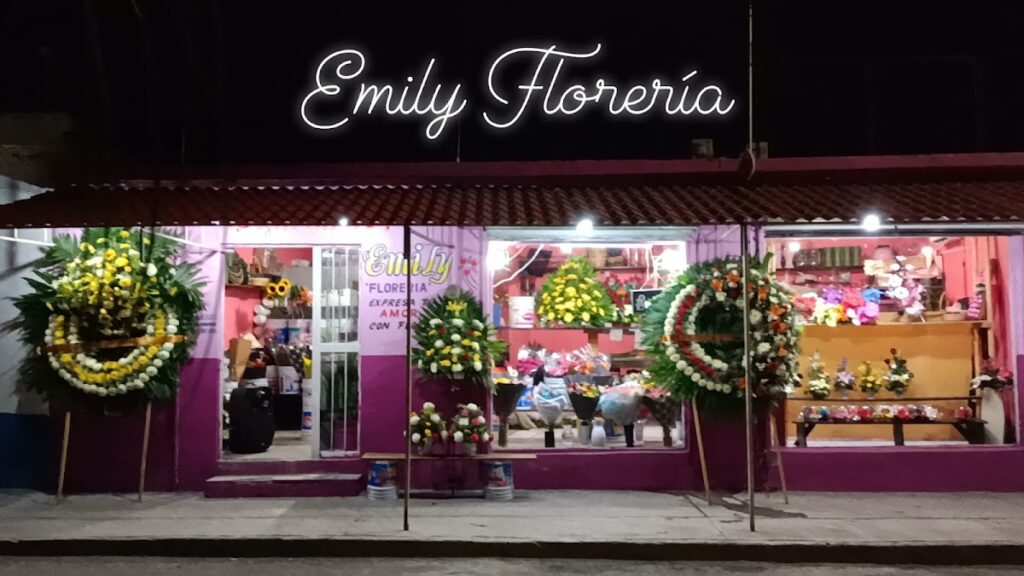 23321 emily floreria 1024x576