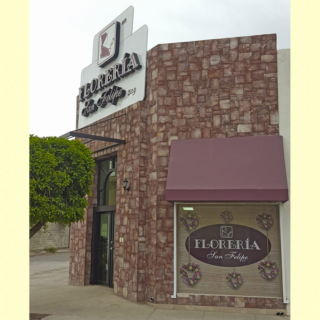 23326 floreria san felipe 1024x1024