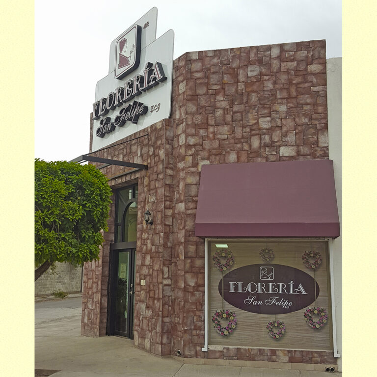 23326 floreria san felipe 768x768
