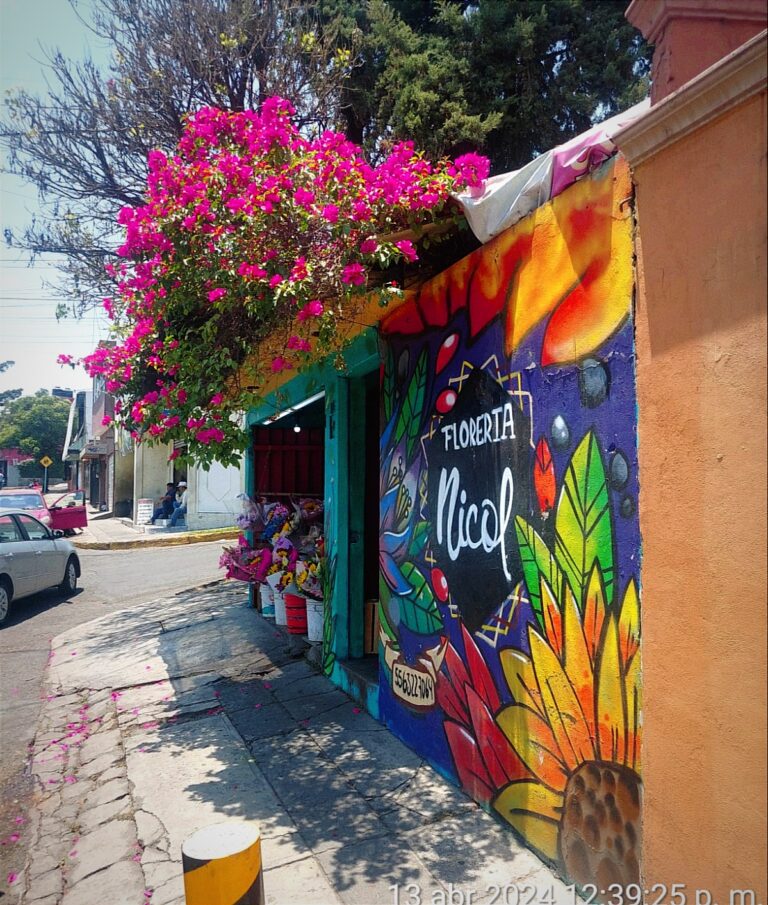 23431 floreria nicol 768x905