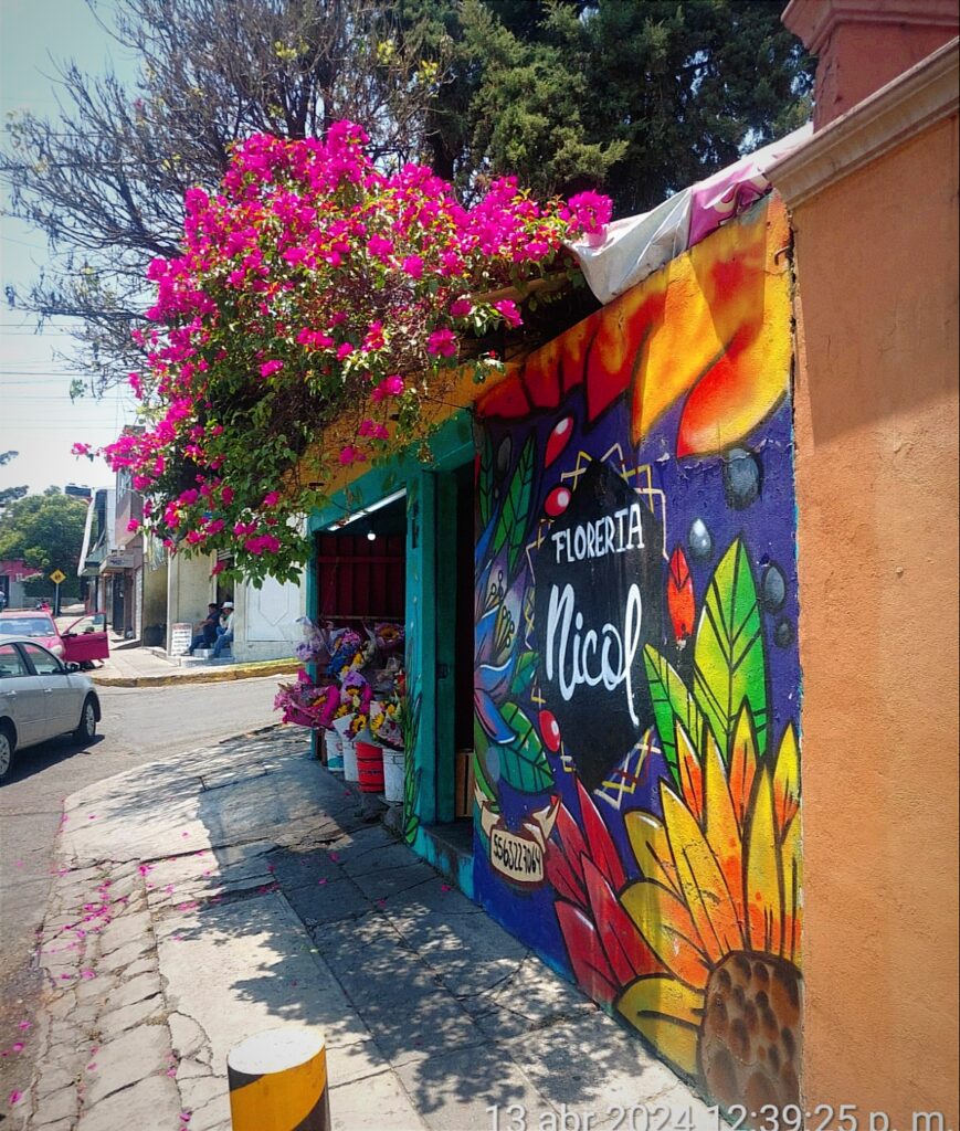 23431 floreria nicol 869x1024