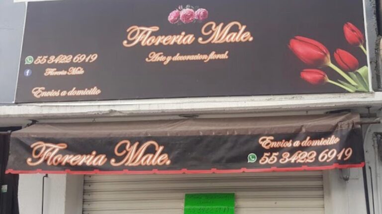 23445 floreria male tlalnepantla 768x431