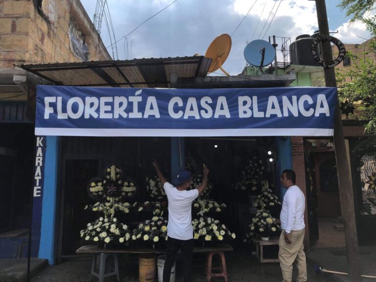 23448 floreria casa blanca 768x576