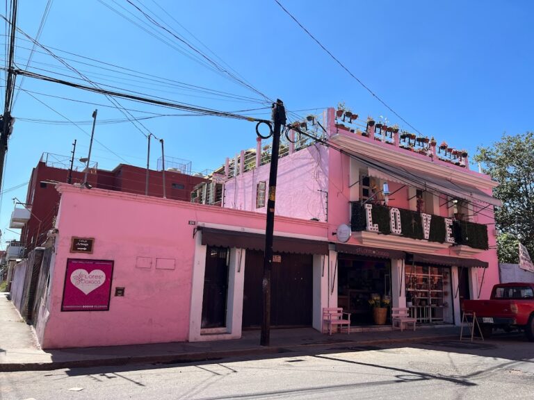 23480 floreria flores de oaxaca 768x576