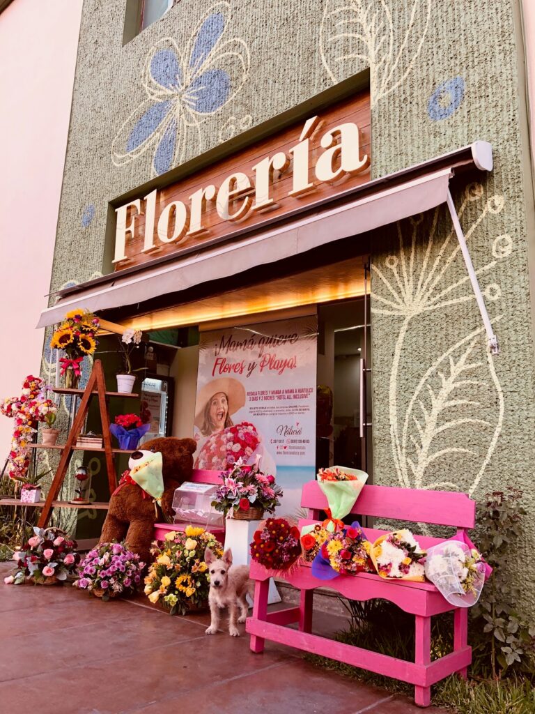 23492 floreria natura 768x1024