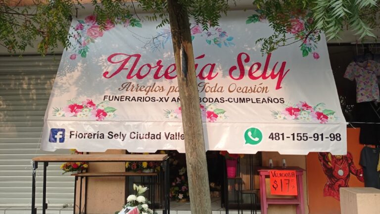 23548 floreria sely ciudad valles 768x432