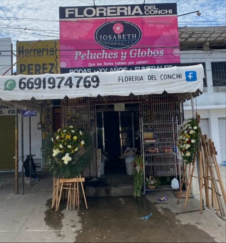 23556 floreria del conchi josabeth 768x823