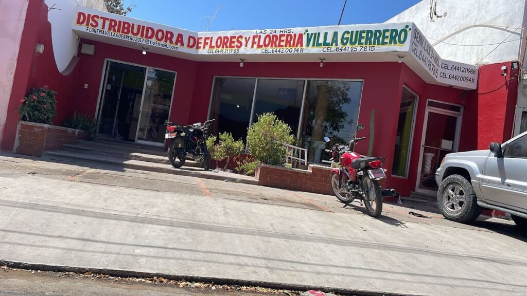 23568 distribuidora de flores y floreria villa guerrero 1024x576