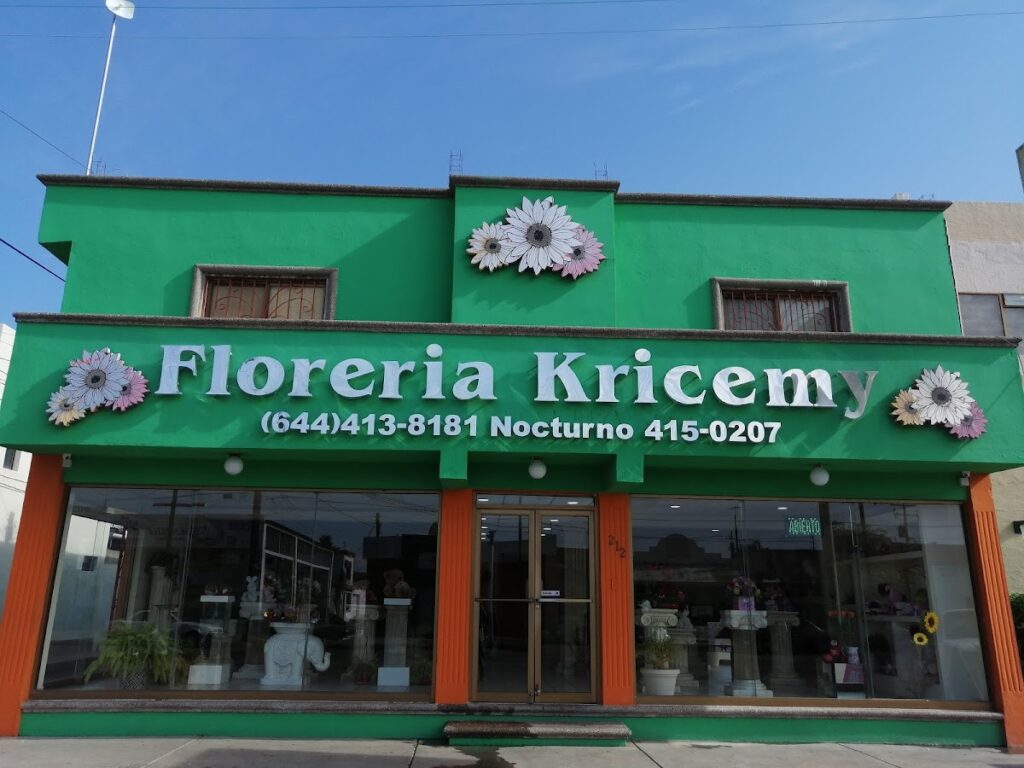 23574 floreria kricemy 1024x768