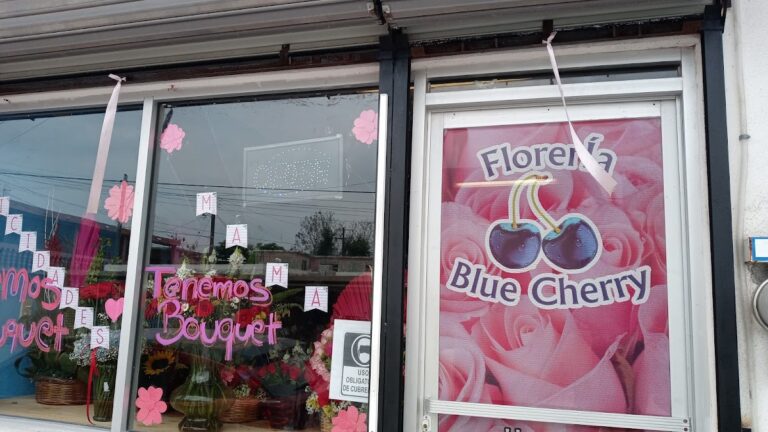 23595 floreria blue cherry 768x432