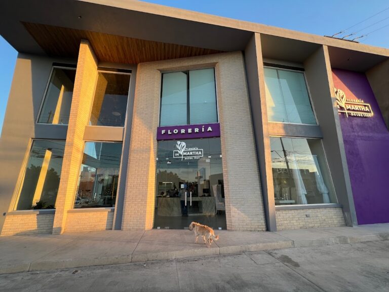 23605 floreria y regalos martha s.a. de c.v 768x576