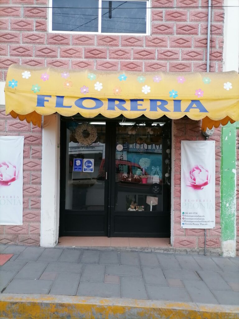 23628 floreria peonia tlaxcala 768x1024