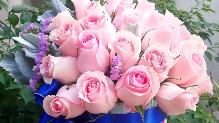 23631 floreria riviera veracruz 768x431