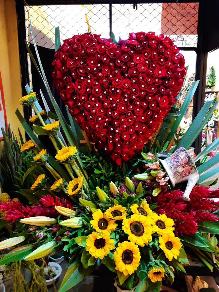 23633 floreria bella orizaba 768x1024