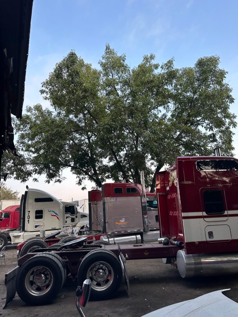 23812 taller mecanico diesel salazar 768x1024