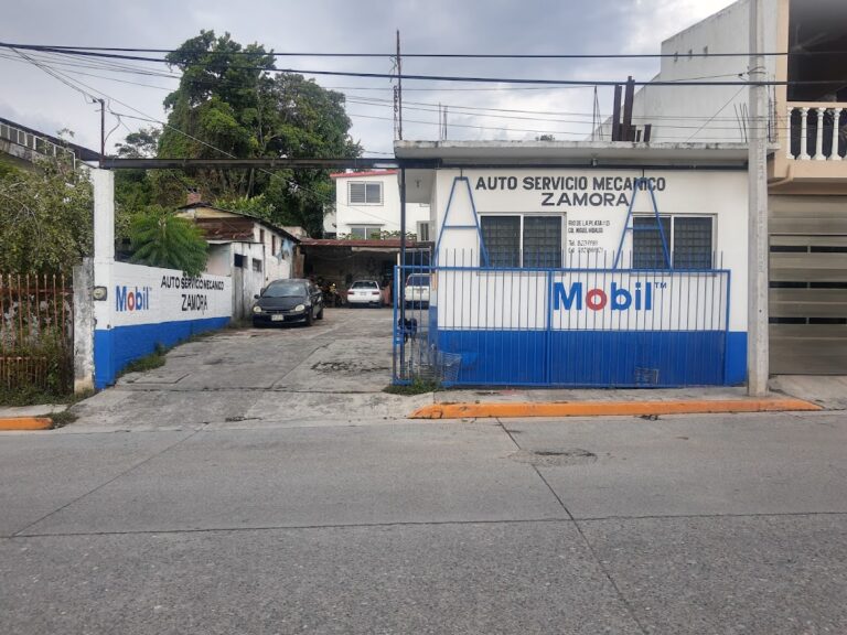 24011 auto servicio mecanico 8220zamora8221 768x576