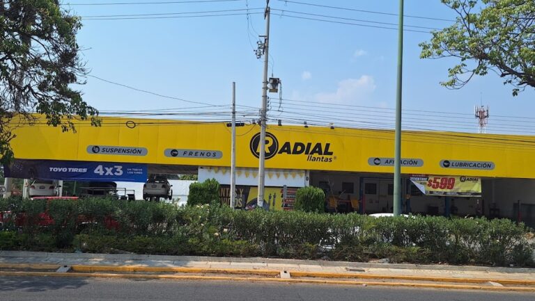 24063 radial llantas matriz palmas 768x433