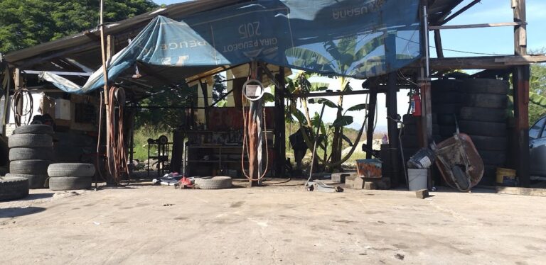 24181 llantera movil el raton veloz 768x374