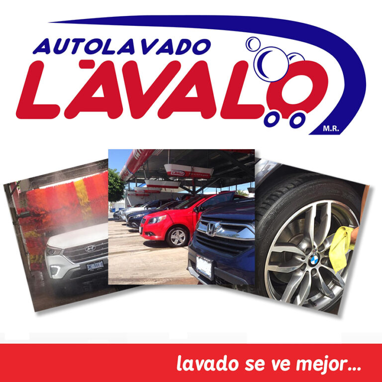 24537 lavalo 768x768