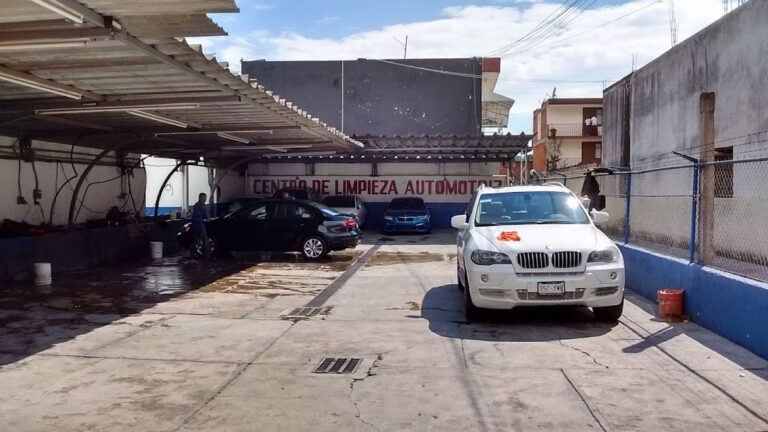 24646 auto lavado lobo 768x432