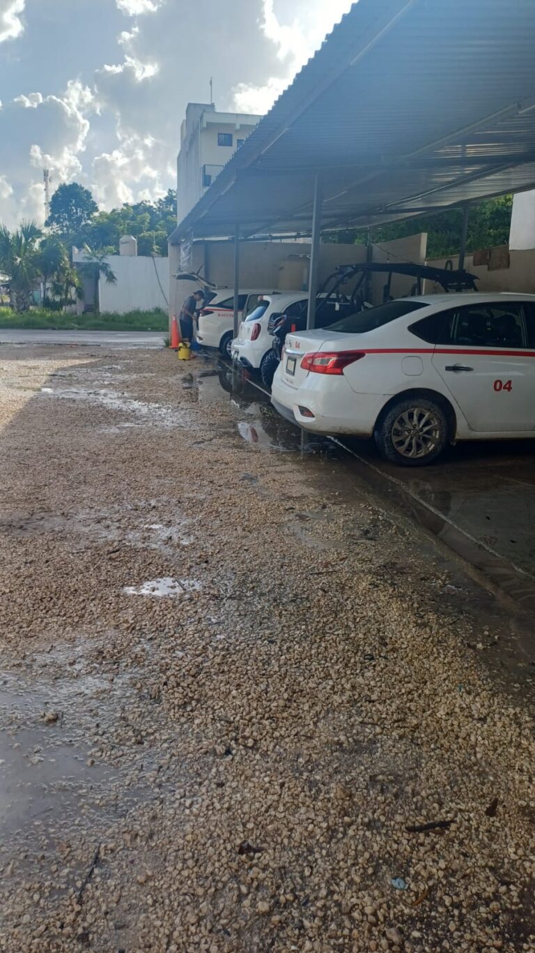 24682 auto lavado rg 768x1366