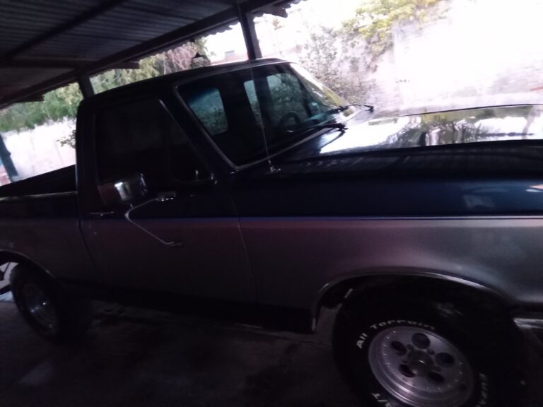 24686 auto lavado a domicilio mazatlan sin 768x576