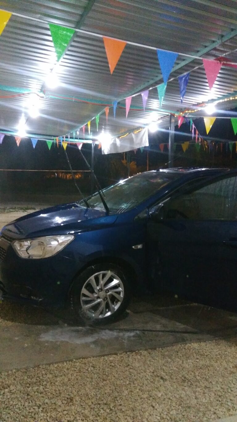 24737 detallado automotriz rooster 768x1365