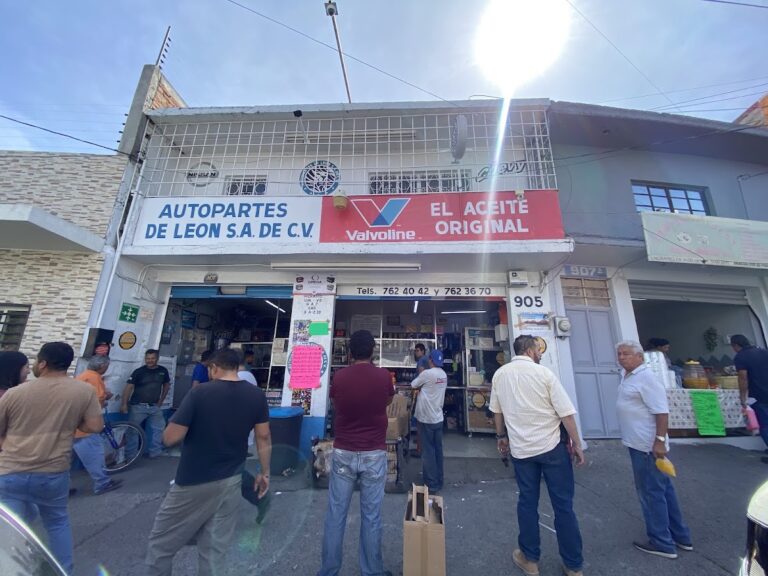 24864 autopartes de leon s.a. de c.v 768x576