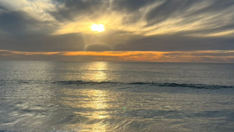 25126 ronival real estate 768x433