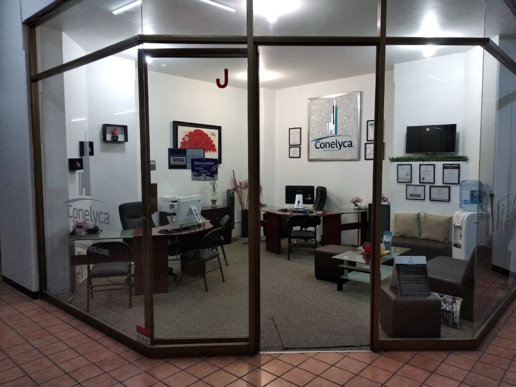 25160 conelyca inmobiliaria s.r.l. de c.v 1024x768