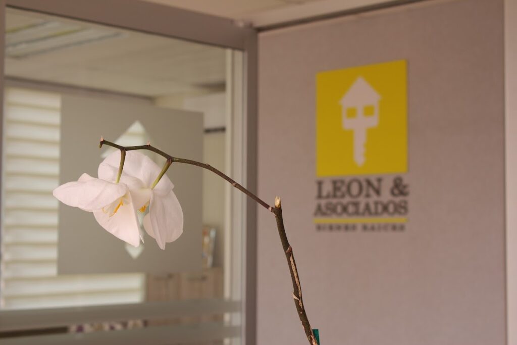 25175 inmobiliaria leon asociados 1024x683