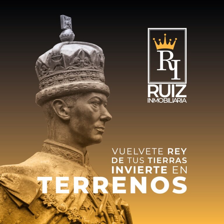 25319 ruiz inmobiliaria 768x768