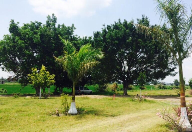 25362 hacienda real inmobiliaria cuautla centro 768x528