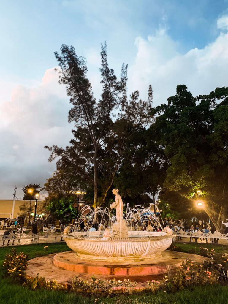 25593 tierra valladolid 768x1024